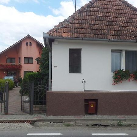 Casuta Andrey & Dan Villa Mihai Viteazu  Eksteriør bilde