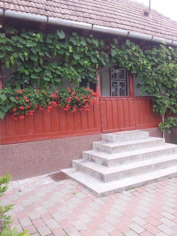 Casuta Andrey & Dan Villa Mihai Viteazu  Rom bilde