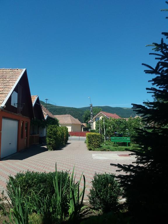 Casuta Andrey & Dan Villa Mihai Viteazu  Eksteriør bilde
